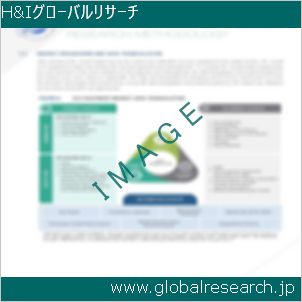 グローバルリサーチ調査レポートのイメージ